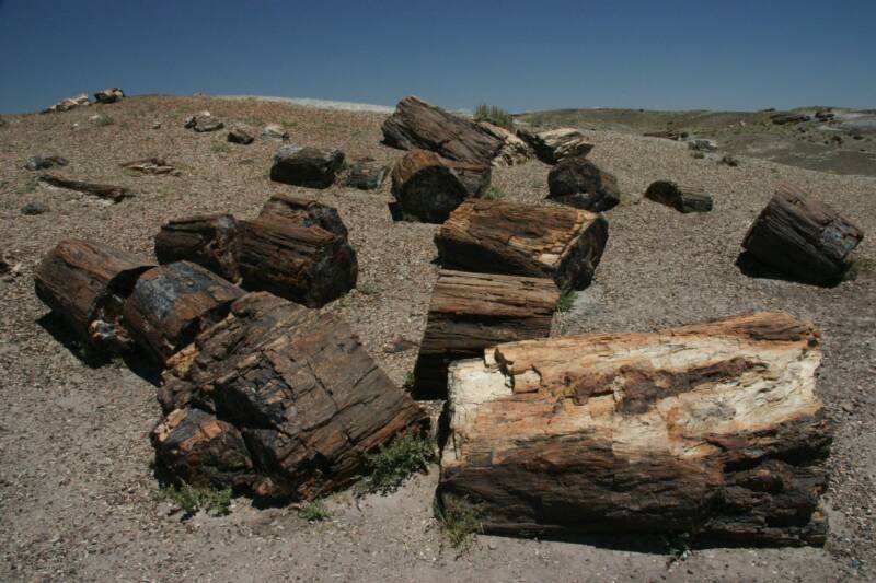 Petrified Forest National Park