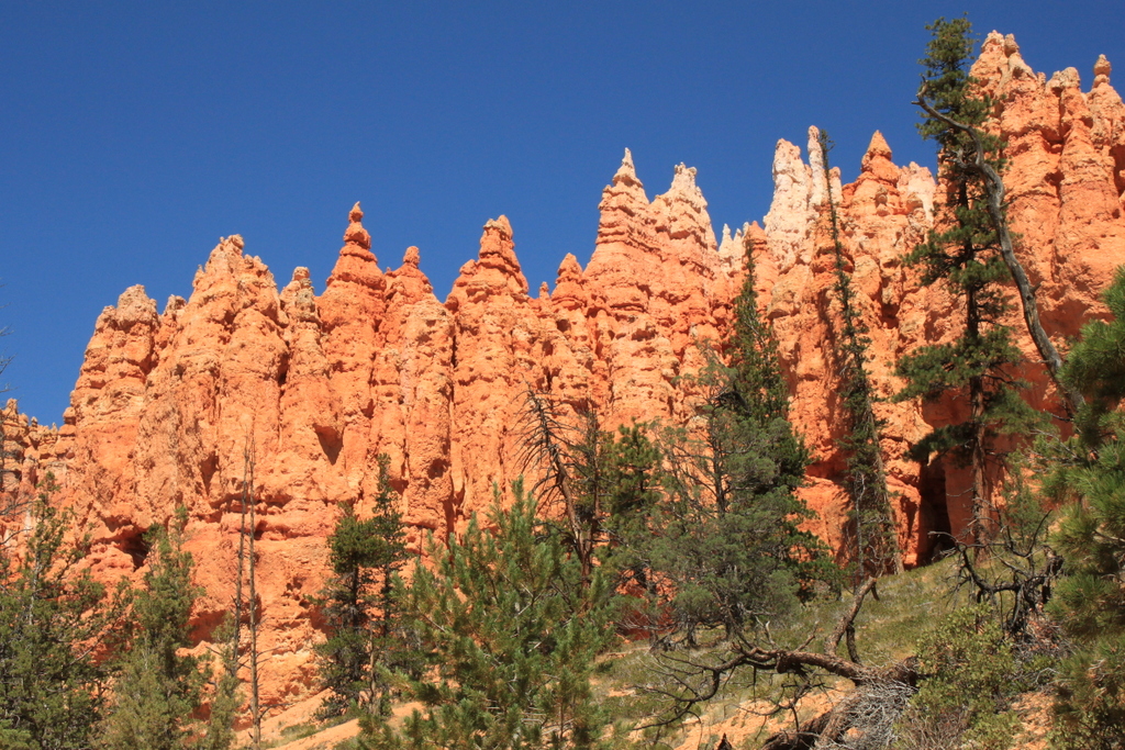 Bryce Canyon NP