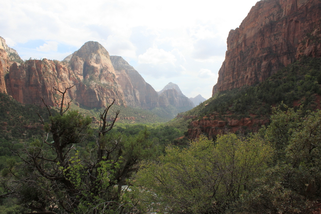 Zion NP